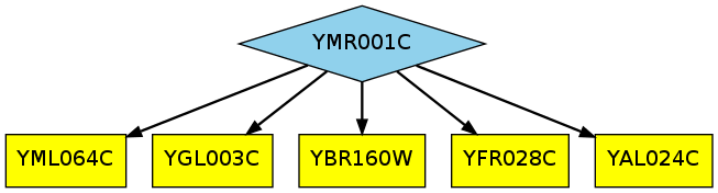 5-path YMR001C unmapped